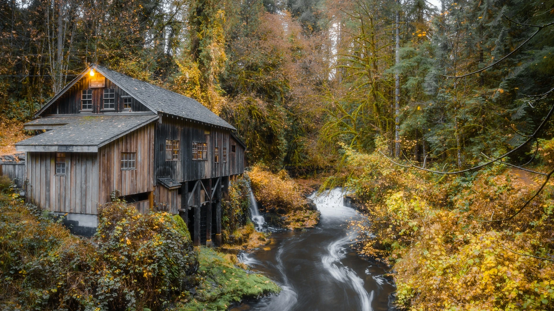 Derecho Ambiental Lourdes Tormo Abogada